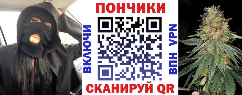 OMG вход  Сычёвка  МАРИХУАНА конопля 